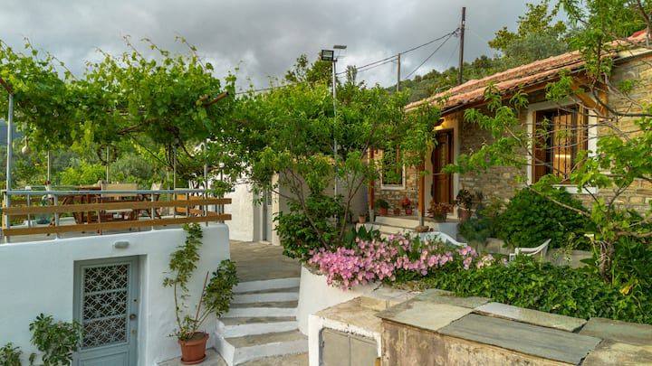 Zelís photo — Exterior 4