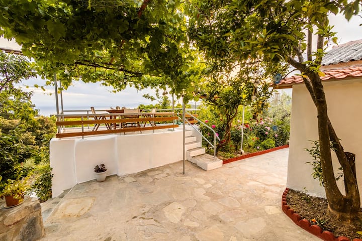Zelís photo — Exterior 10