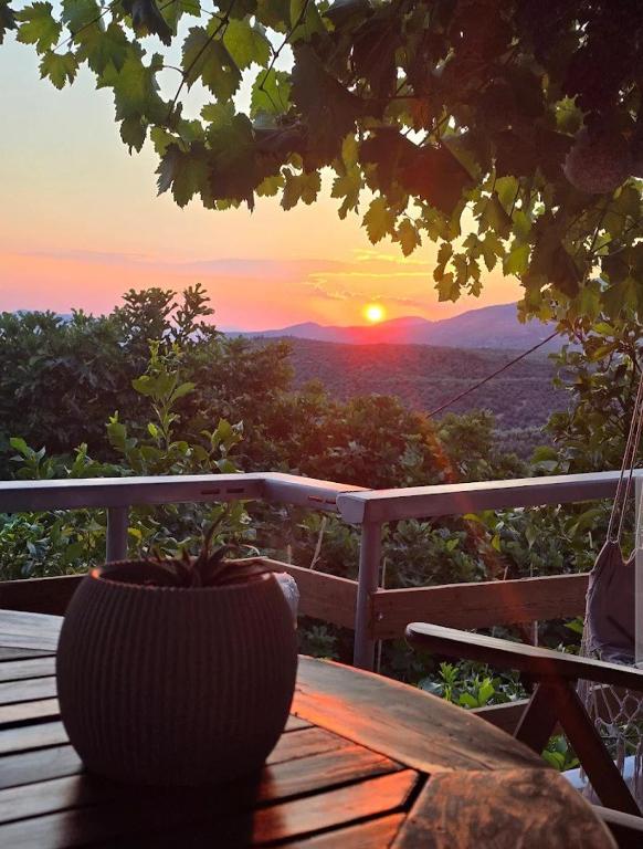 Zelís photo — Terrace 5