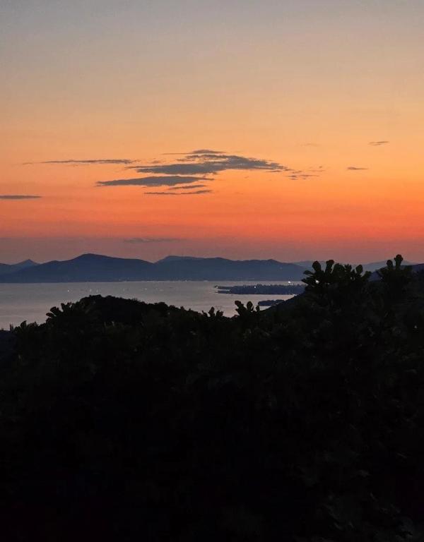 Zelís photo — Terrace 7